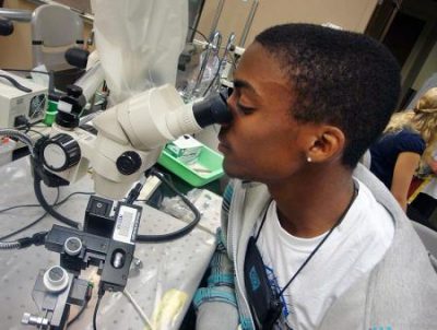 Person with brown skin and short black hair looks into a microscope in a laboratory setting