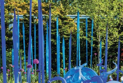 Blue glass art sculptures installed in an outdoor garden setting.