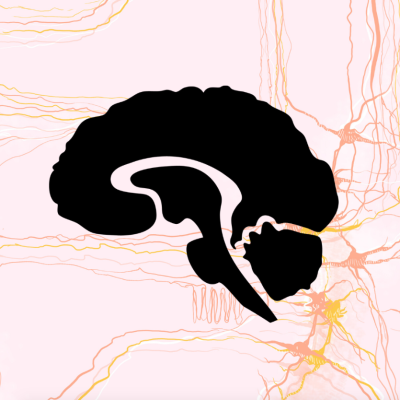 Black vector illustration of a brain over pink background with abstract pink, yellow and white linework.