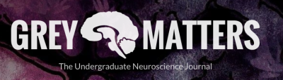 White text over an abstract dark purple and pink background reads "Grey Matters." A graphic logo of a brain is illustrated in between the two words. White text below reads "The Undergraduate Neuroscience Journal"