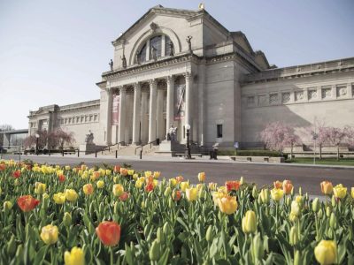 Front of a white bricked historical art museum with multiple columns surrounding the entrance. In the foreground are multi colored tulips.