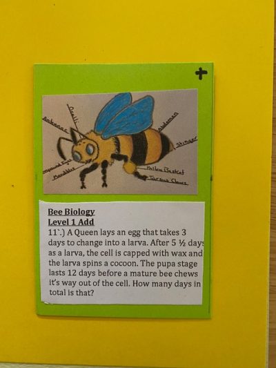 Handmade game card featuring a drawing of a bee with scientific labels, and text below detailing a bee's life cycle.