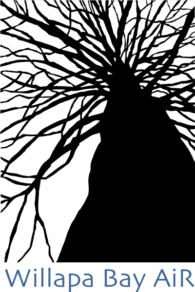 Black vectorized silhouette of a tree from below, with blue text beneath reading "Willipa Bay AiR"