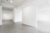 White walled gallery space, filled with light