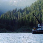 Clayoquot 2001
