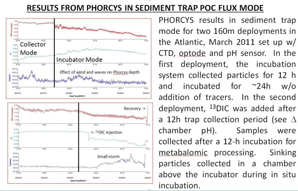 phorcys data initial run