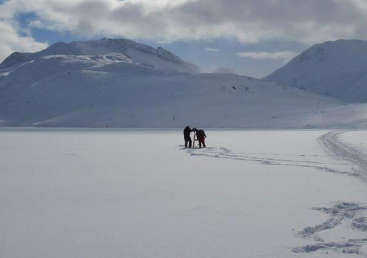 Greenland Landscape