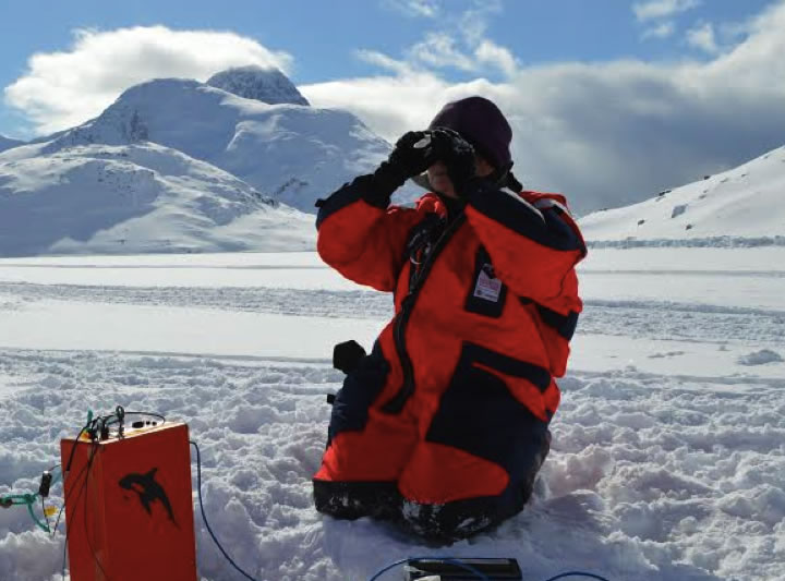 Professor Jody Deming in Greenland