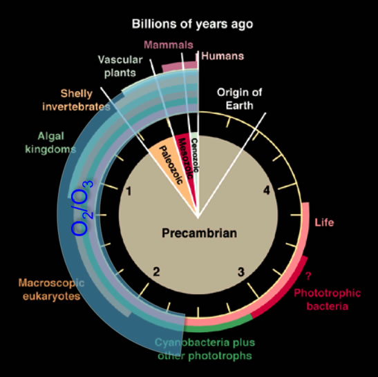 History of life on Earth