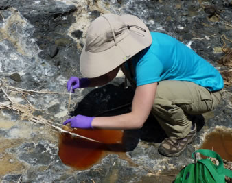 Meg collecting samples