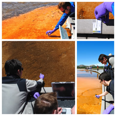 Students doing microbiology experiments at Yellowstone