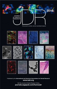 JDR-cover