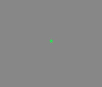 FeedbackStar.jpg