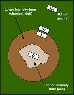 BP Sampling design