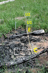 BP transect 2007