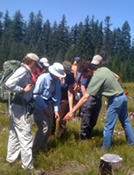 BG Participants link