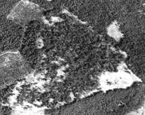 2000 1946 aerial photo of meadow extent