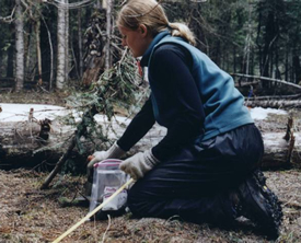 Collecting seedbank samples