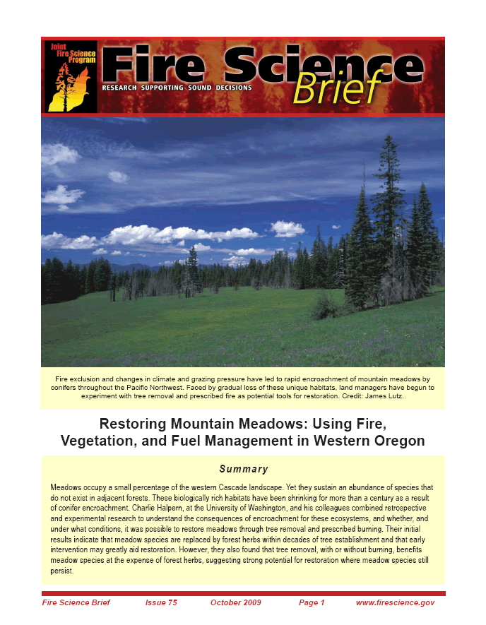 Download FS Brief 75
