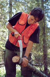 Sawing a "cookie" for aging a sapling