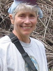 Cindy McCain