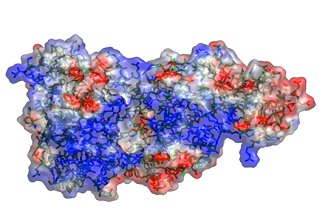 structure of another RNA editing enzyme