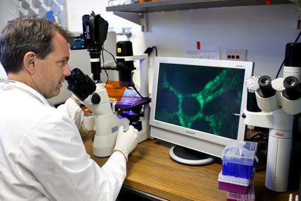 Dr. Michael Laflamme