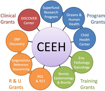 Constellation of CEEH Related Grants Image