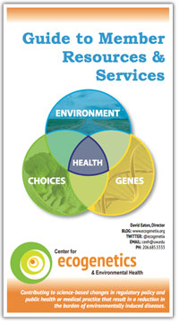 Guide to Services thumbnail