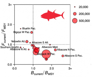 tuna