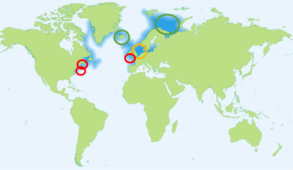 Figure 2. Map showing location of 6 different cod stocks addressed in this feature. The darker blue region represents Atlantic cod distribution, and the 6 circles represent stocks being examined in this feature. Red circles represent stocks that are doing poorly (Celtic Sea, Gulf of Maine, Georges Bank), yellow circles represent stocks that are low but recovering (North Sea), and green circles represent stocks that are doing well (Barents Sea, shelves of Iceland).