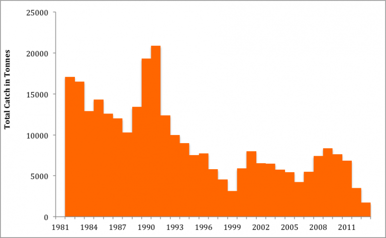 Figure 4. Historical (a) Spawning Stock Biomass (SSB) and (b) total catch for Gulf of Maine Cod. All data from Northeast Fisheries Science Center reports and RAM Legacy Database.