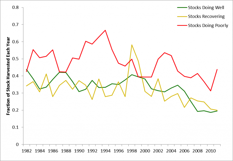 Figure 9. Average harvest ratio (total catch/total biomass) from 1982-2011 for the 3 different categories of cod stocks addressed in this feature. The red line depicts the average harvest ratio of the stocks that are doing poorly (Celtic Sea, Gulf of Maine, Georges Bank), the yellow line depicts the average harvest ratio of the stock that is low but recovering (North Sea), and green line depicts the average harvest ratio of the stocks that are doing well (Barents Sea, shelves of Iceland).