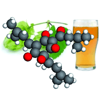 Chemistry Department News Picture