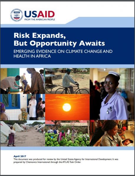 USAID Africa Report