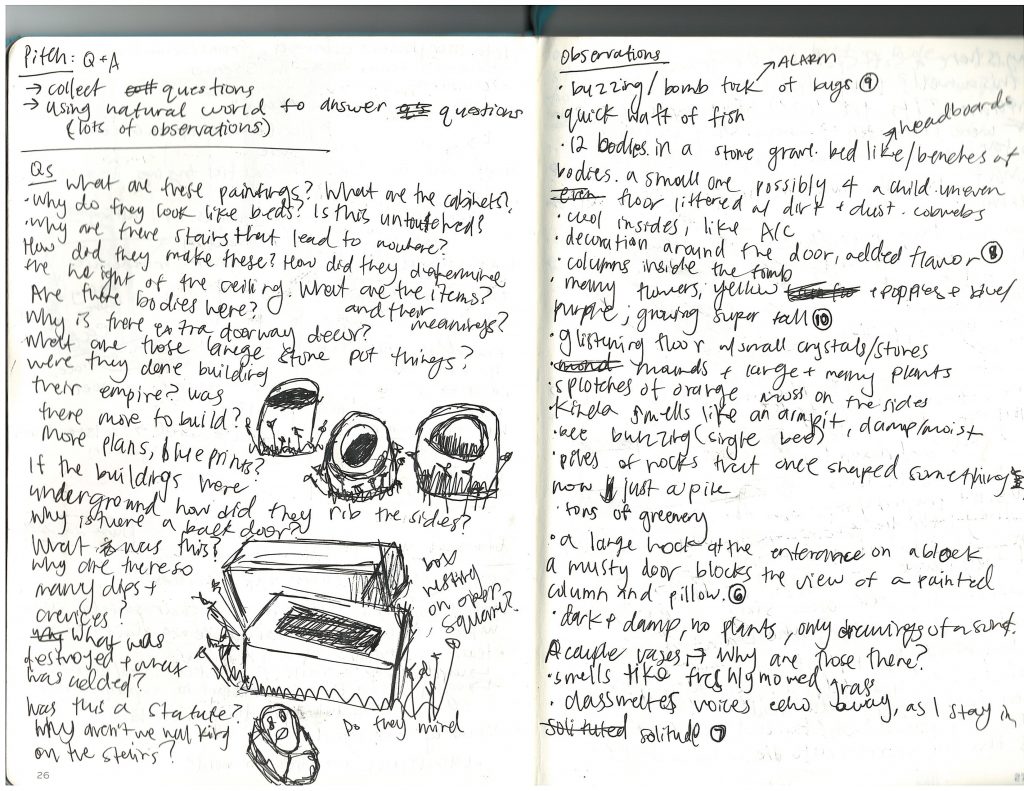 image of raw journal entries (handwritten text and drawings)
