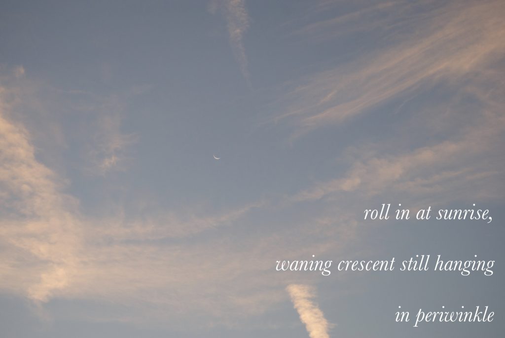 periwinkle sky with prose: roll in at sunrise, waning still hanging in periwinkle