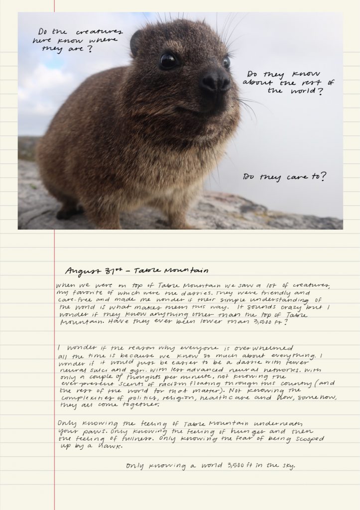A page of a handwritten journal with a photograph of a rodent