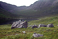 SCOT-004_site_600