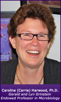 Photo of Caroline Harwood