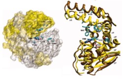 Paper of the Month