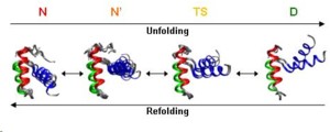 EnHD Folding/Unfolding