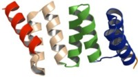 TPR Protein