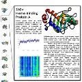 bioinformatics