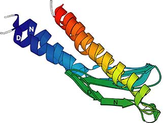 Protein structure graphic