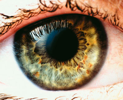 close-up of eyeball