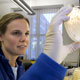 Photo of researcher holding up petri dish