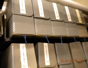 Boxes containing Wu Xianzi archives