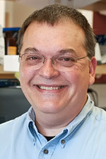 Stephen Libby, Ph.D.