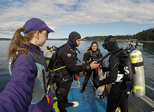 Divers prep on a boat